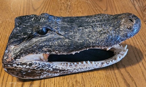 Vintage alligator - vintage, 13”